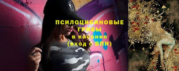 сатива Алексин