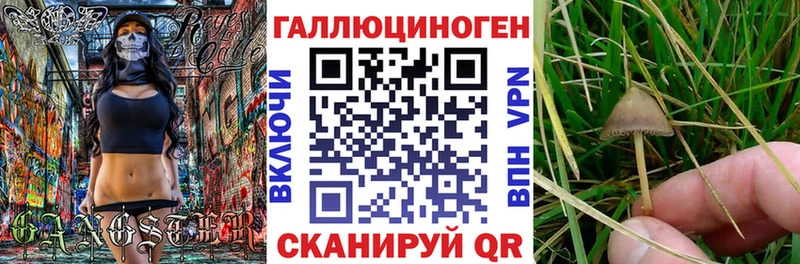 как найти наркотики  Мамадыш  shop какой сайт  Галлюциногенные грибы Magic Shrooms 